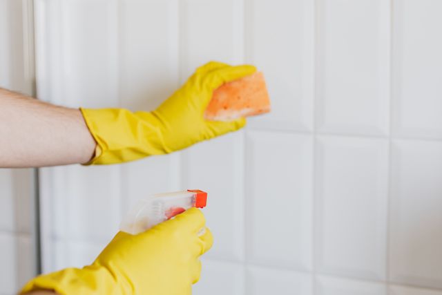 Professional cleaner applying Nano's detail process